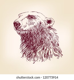 7,405 Polar bear vintage Images, Stock Photos & Vectors | Shutterstock