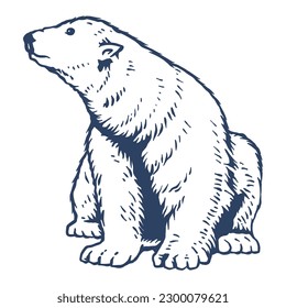 Polar bear - hand drawn vector illustration