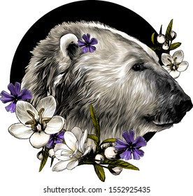 polar bear head in profile on a circle background with a composition of flowers, sketch vector graphics color illustration on a white background