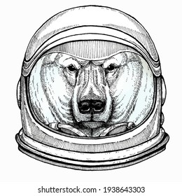 Eisbärenkopf. Vektortierporträt. Astronautentier. Vektorbild. Kosmos und Spaceman. Weltraumgrafik über Reisen zum Mond. Funny Science, handgezeichnete Illustration.