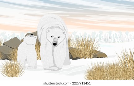 A polar bear and her cub walk through the snow through dry grass and snowdrifts. Wild animals of the Arctic. Realistic vector landscape