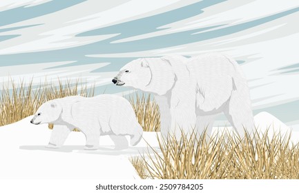 A polar bear and her cub walk. Wild animals of the Arctic. Realistic vector landscape