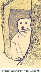  Polar bear hides in an ice cave