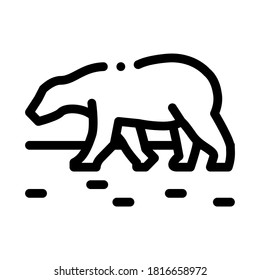 polar bear icon vector. polar bear sign. isolated contour symbol illustration