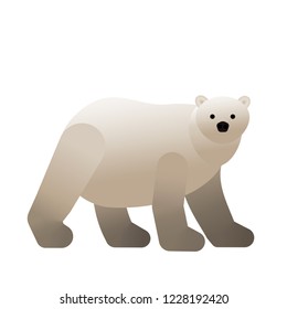 Polar Bear Illustration
