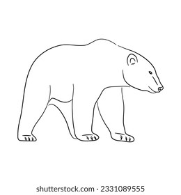 Ilustración del oso polar en estilo doodle. Vector aislado en un fondo blanco. 