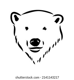 Polar bear illustration, drawing, engraving, ink, line art, vector