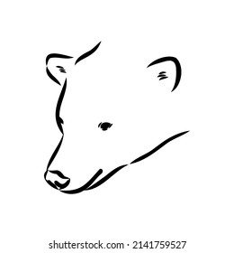 Polar bear illustration, drawing, engraving, ink, line art, vector