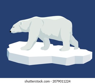 Polar bear. Illustration of a polar bear standing on an ice floe, side view. Flat style.