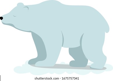 Polar bear, illustration, vector on white background.