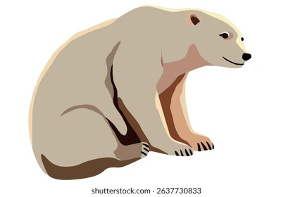 Polar bear. Illustration of a white polar bear