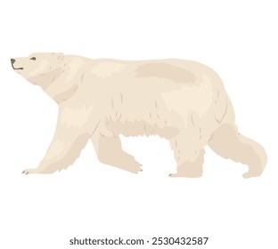 Eisbär. Einwohner des Nordpols. Arktische Fauna. Raubtier in einem Naturpark. Vektorgrafik im flachen Stil.