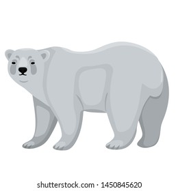 Polar bear isolated on white background. Vector graphics.