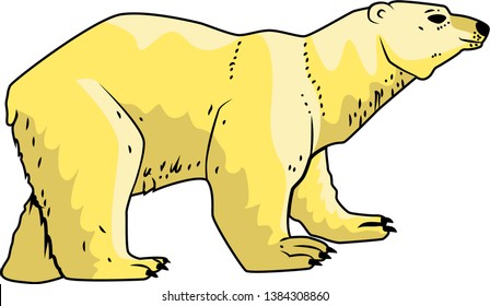 The polar bear is the largest predator on our planet.