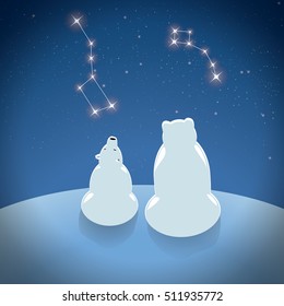 Polar bear with little bear looks at the constellations