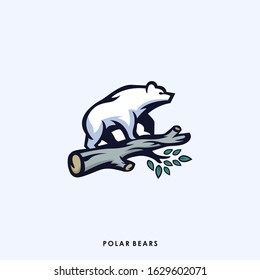 polar bear logo design vector illustration