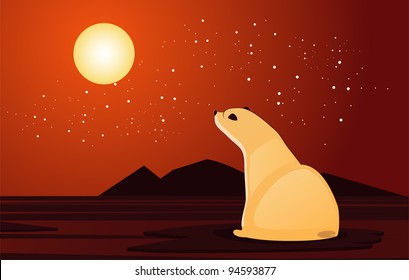 polar bear looking at the sunset