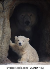 Polar bear mother and her little baby are looking into your eyes. First look at the world of the young wild animal, which is going to be the most dangerous beast. Vector image in oil painting style.