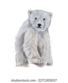 Polar bear from multicolored paints. Splash of watercolor, colored drawing, realistic. Vector illustration of paints