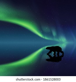 Oso polar de noche. Silhouette animal. Luces boreales en cielo estrellado