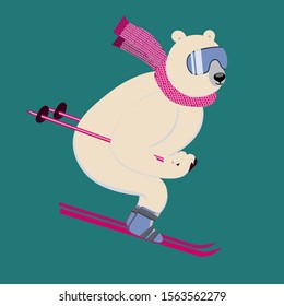 Polar bear on an alpine ski slope. Сharming sporty and strong animal wears scarf and ski goggles, likes downhill skiing.  Vector ilustration with character in flat style. Can be used as mascot