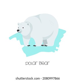 Polar bear on the background with a brushstroke. Vector flat image of an animal. Isolated on white background