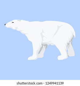 polar bear on a blue background