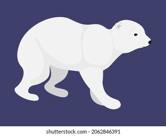 Polar bear on dark background, Winter with white bear. Vector illustration design element in flat cartoon style.