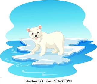 Polar bear on floating an ice