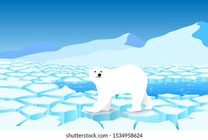 polar bear on the glacier at the geographic pole