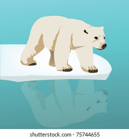 polar bear on ice