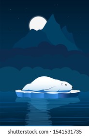 Polar bear on an ice floe at night