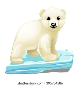 Polar bear on an ice floe. Vector illustration.