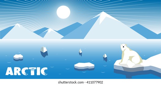 Polar bear on an ice floe, polar landscape.