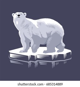 Polar bear on an ice floe, illustration, vector