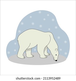 Polar bear on a snowy background, vector illustration