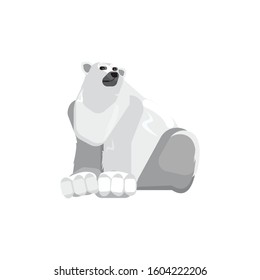 Polar bear on a white background. Illustration of a bear. Rare wild animal sitting vector