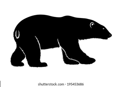 polar bear on a white background