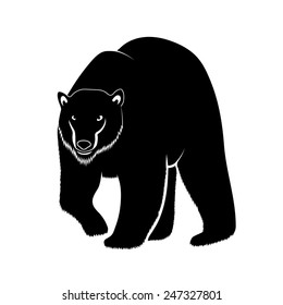 polar bear on a white background