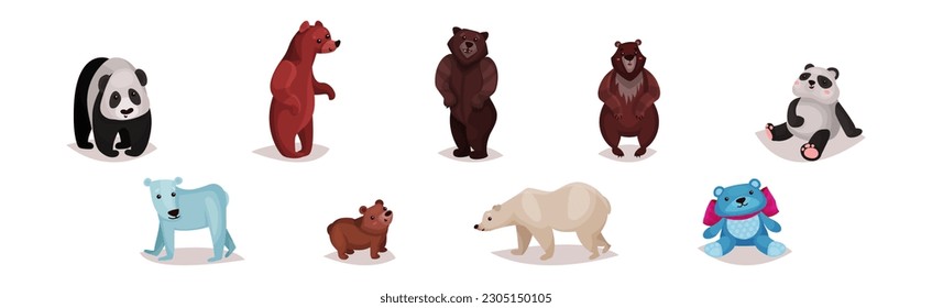 Polar Bear, Panda und Grizzi als Carnivore Animal Vector Set