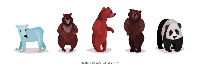 Polar Bear, Panda und Grizzi als Carnivore Animal Vector Set