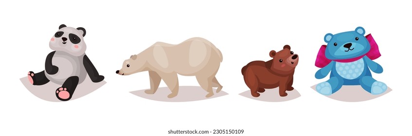 Polar Bear, Panda und Grizzi als Carnivore Animal Vector Set