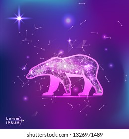 polar bear. Polygonal wireframe bear silhouette on gradient background. Space, futuristic, zodiac concept. Shine neon style vector illustration