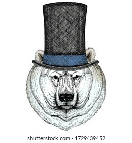Polar bear portrait. Head of wild animal. Cylinder hat.