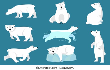 Polar bear set. Cute white arctic bear walking, running, swimming, sitting, sleeping on ice. Vector illustration for zoo, winter character, northern wild animal concepts