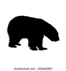 Polar Bear Silhouette. Highly Detailed Smooth Design. Vector Illustration.