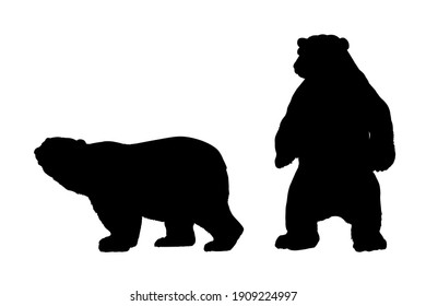 Polar Bear Silhouette isolated on white. Vector