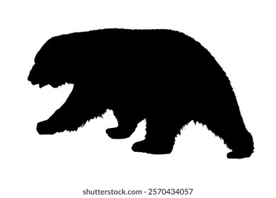 polar bear silhouette isolated on white background - vector illustration