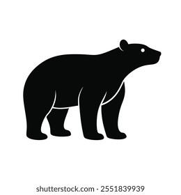 Polar bear silhouette on white background 