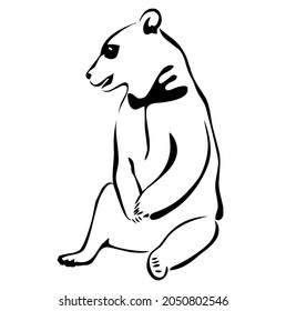 Polar bear sitting, wild animal living on Arctic, north pole, wildlife, beast, predator, carnivore, mammal, vector, illustration in black and white color, isolated on white background